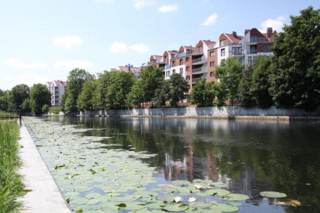 Apartament Bello - Free Parking Apartman Gdańsk Kültér fotó